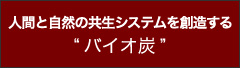 人間と自然の共生システムを創造する“バイオ炭”