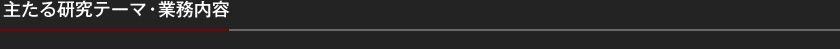 主たる研究テーマ・業務内容