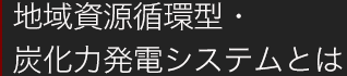 地域資源循環型・炭火力発電システムとは