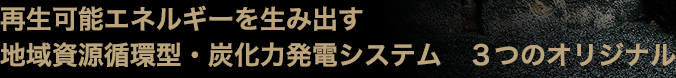 地域カーボンシステムとは